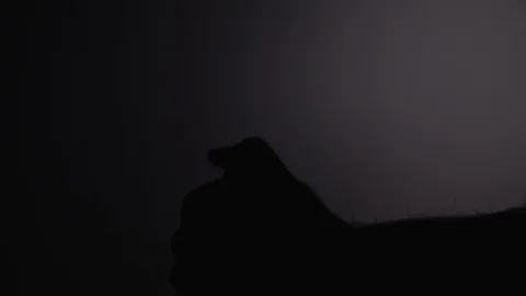 Shadow of killer holding knife cast on wall. Raising knife and stabbing Stock Footage 118278213