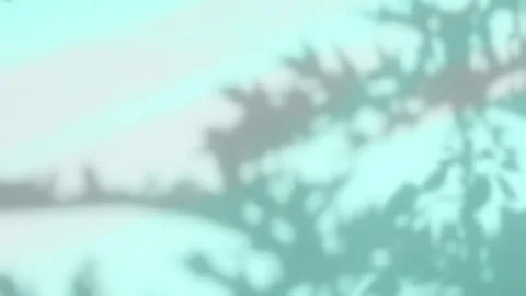 Shadow leaf background wall light blue overlay abstract plant 4k backdrop Stock Footage 342574263