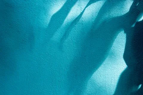Shadow leaf on blue concrete wall background Stock Photos