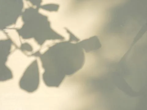 Shadow of leaf on color background. Stock Photos