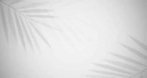 Shadow of leaf gray abstract background vector design. Illustrazione stock