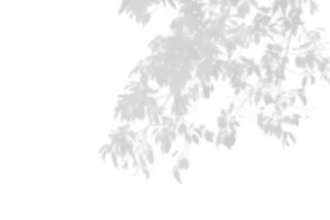 Shadow of leaf overlay on white texture background. Use for decorative prod.. Stock Illustration