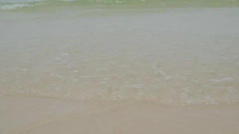 Shadow leaf on sand beach and blue sea background, wave water summer Stock Footage 341537261