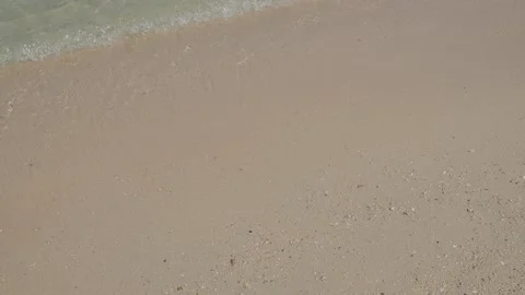 Shadow leaf on sand beach and blue sea background, wave water summer Vidéo 341835417