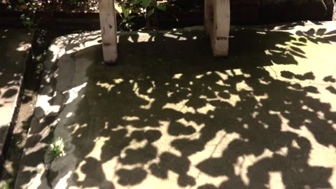 A shadow of a leafy tree on a sidewalk Stock Footage 289316076