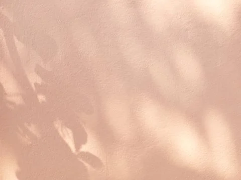 Shadow of leaves background with cement texture Stock Photos