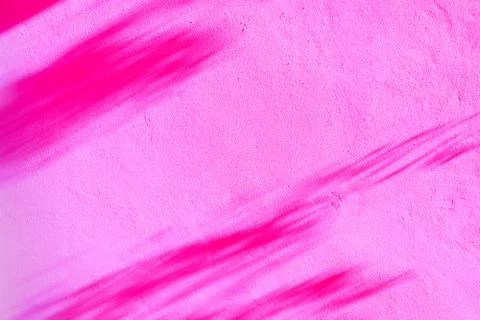 Shadow of leaves branches in wind show on the pink wall background. Stock Illustration