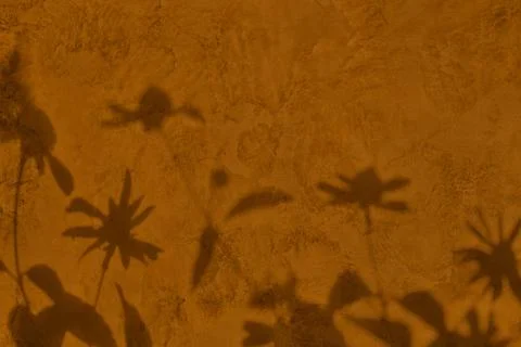 Shadow of leaves on brown concrete wall texture background Stock Illustration