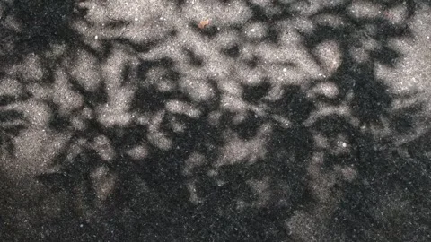 Shadow of the leaves on concrete pavement outdoors, abstract background Stock Footage 313308050