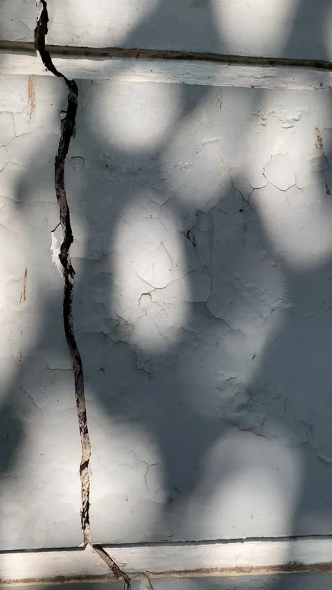 Shadow of leaves on cracked wall Vidéo 334285112