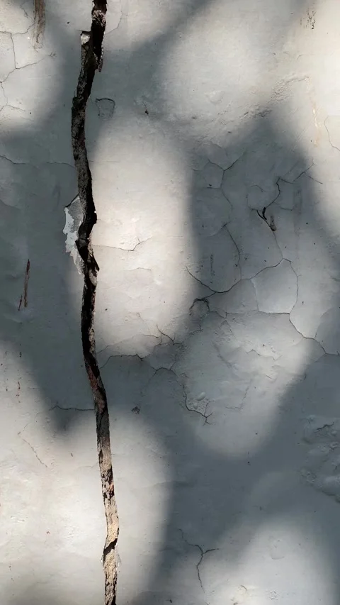 Shadow of leaves on cracked wall Video stock 334285160