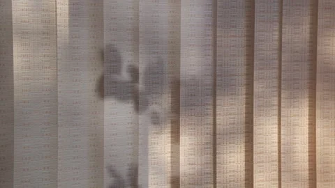 Shadow from leaves on fabric vertical beige blinds. Video stock 297939140