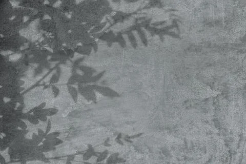 Shadow of leaves on gray concrete wall texture background Stock Illustration