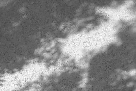 Shadow of leaves on a light wall Stock Photos