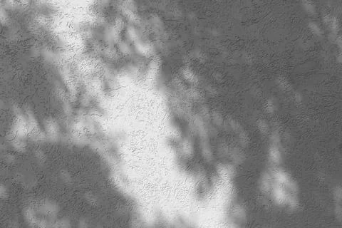 Shadow of leaves on a light wall Stock Photos