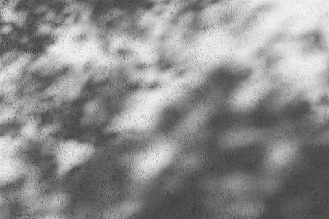 Shadow of leaves on a light wall Stock Photos