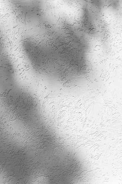 Shadow of leaves on a light wall Stock Photos
