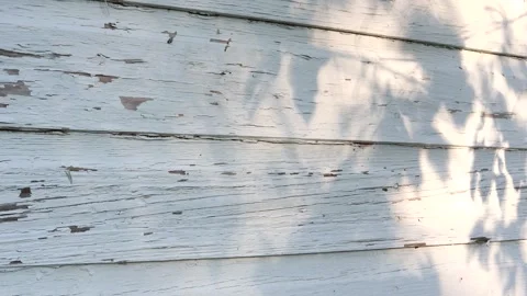 The Shadow of Leaves Move Against an Old Building, 4k 動画素材 336796988