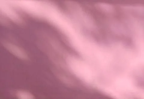 Shadow of leaves on a pink wall background Stock Photos