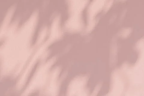 Shadow of leaves on a pink wall Stock Illustration
