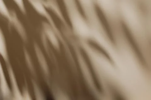 Shadow of leaves on solid beige wall texture background イラスト素材