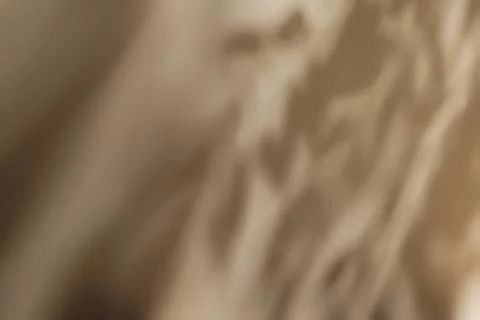 Shadow of leaves on solid beige wall texture background Illustrazione stock