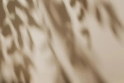 Shadow of leaves on solid beige wall texture background Stockfoto's