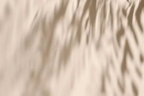 Shadow of leaves on solid beige wall texture background 스톡 사진