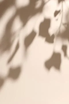 Shadow of leaves on solid beige wall texture background Foto stock