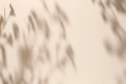 Shadow of leaves on solid beige wall texture background Foto stock