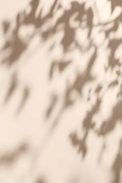 Shadow of leaves on solid beige wall texture background Foto stock