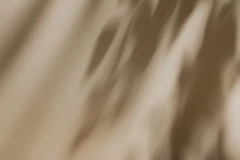 Shadow of leaves on solid beige wall texture background Stock Photos