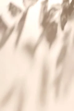 Shadow of leaves on solid beige wall texture background 写真素材