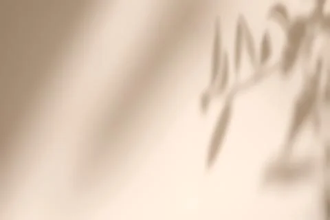 Shadow of leaves on solid beige wall texture background 写真素材