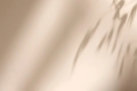 Shadow of leaves on solid beige wall texture background Foto stock