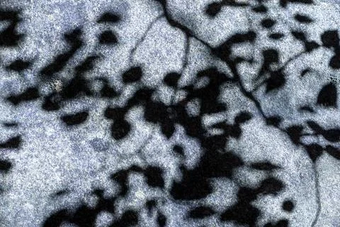 The shadow of the leaves on the stone Stock Photos