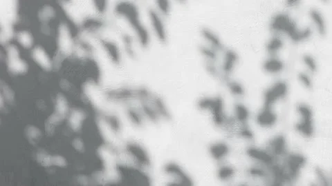 The shadow from the leaves of a tree on a concrete wall, abstract background Vídeos de archivo 160116612