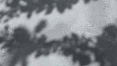 The shadow from the leaves of the tree on the old, gray wall of the building. Stock Footage 203931688