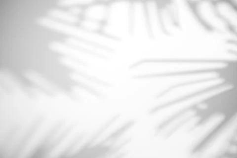 The shadow from the leaves of a tree on a white wall in sunny weather with br Stock Photos