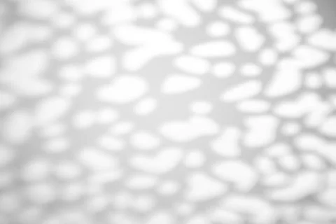 The shadow from the leaves of a tree on a white wall in sunny weather with br Stock Photos