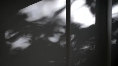 Shadow from the leaves on the wall Stock Footage 134747354