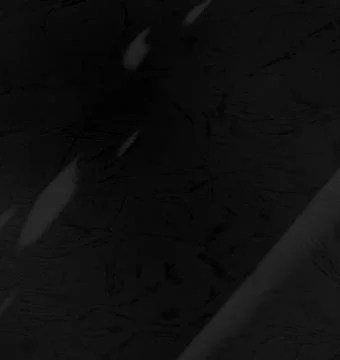 Shadow light black background sunight overlay nature on room cement wall Stock Photos