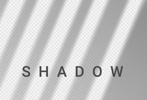 Shadow light overlay window wall scene mockup. Shadow transparent background Illustrazione stock