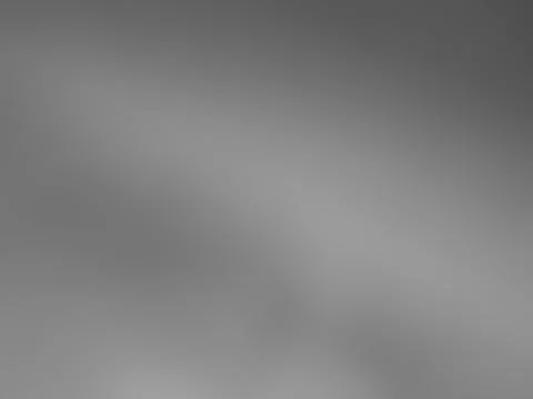 Shadow light summer background sunight overlay nature on room cement wall Stock Illustration