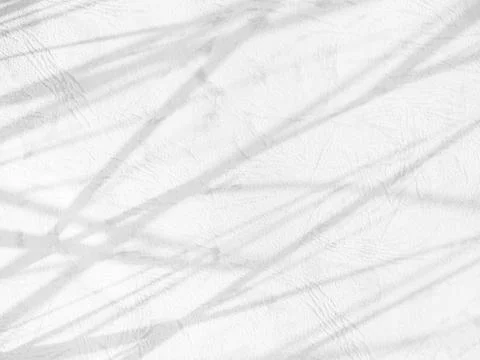 Shadow light summer background sunight overlay nature on room cement wall Stock Photos