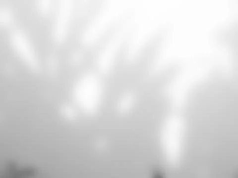 Shadow light summer background sunight overlay nature on room cement wall Stock-Fotos