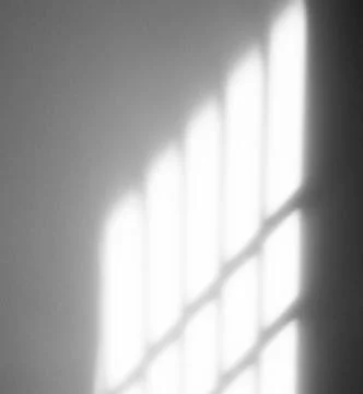 Shadow light summer background sunight overlay nature on room cement Foto stock