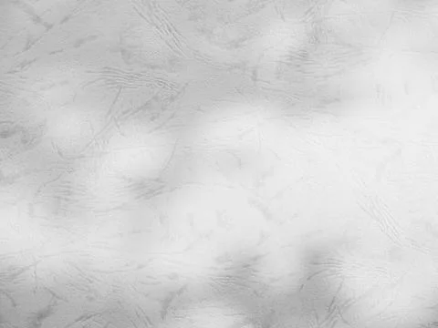 Shadow light summer background sunight overlay nature on room cement wall Stock Photos