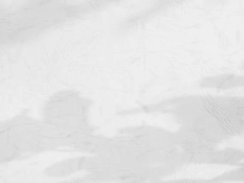 Shadow light summer background sunight overlay nature on room cement wall Stock Photos
