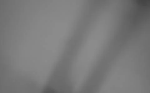 Shadow light summer background sunight overlay nature on room cement wall Stock Photos